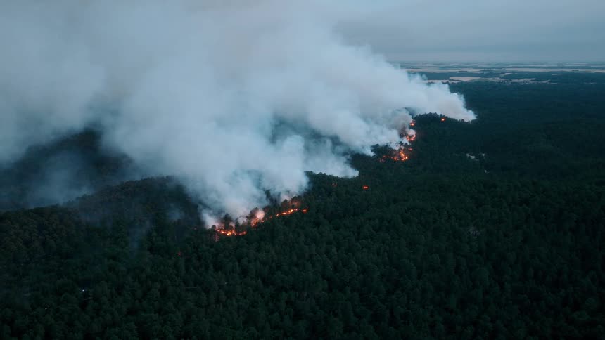A static aerial view shows a massive wildfire burning through a dense forest, sending thick smoke billowing into the evening sky
