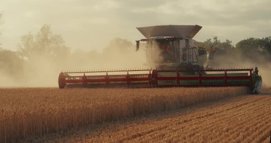 A powerful combine harvester cuts through a golden wheat field at sunset, kicking up clouds of dust
