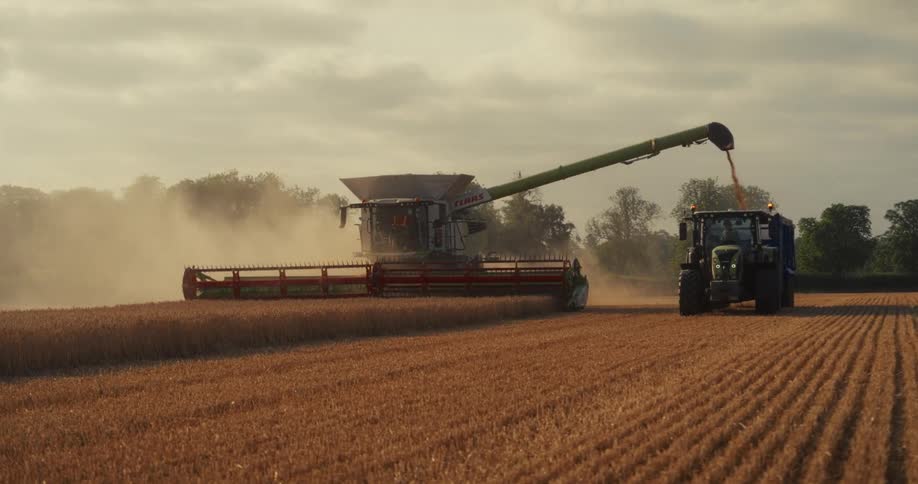 A combine harvester moves through a dusty golden field, harvesting crops and unloading grain into a waiting tractor trailer