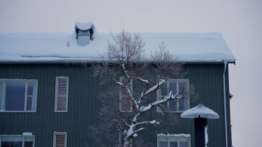 A dark green house with a snow-covered roof and a bare, snowy tree on a cold winter day