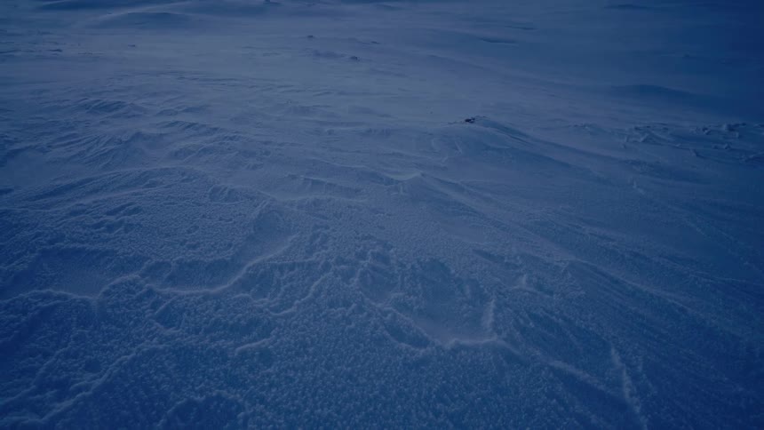 Blowing snow drifts across a vast frozen landscape in the cold blue twilight