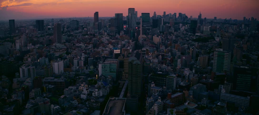An expansive, static shot captures the vast cityscape of Tokyo under a beautiful sunset sky
