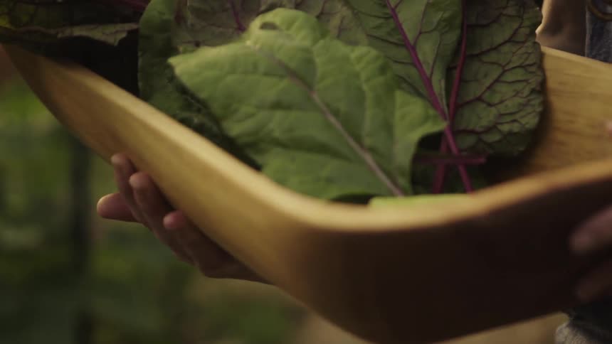 A woman in an outdoor garden holds a wooden bowl containing freshly-picked green leaves