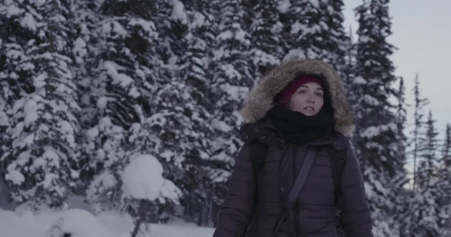 A woman wearing a heavy parka is walking in a wintry landscape