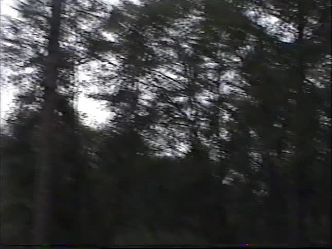 Vintage footage of two young boys excitedly flying their new toy helicopters in a large grassy field