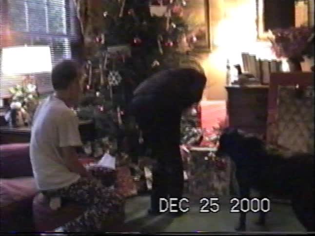 A curious black dog sniffs around the Christmas tree and opens its present on Christmas morning in a nostalgic home video from 2000