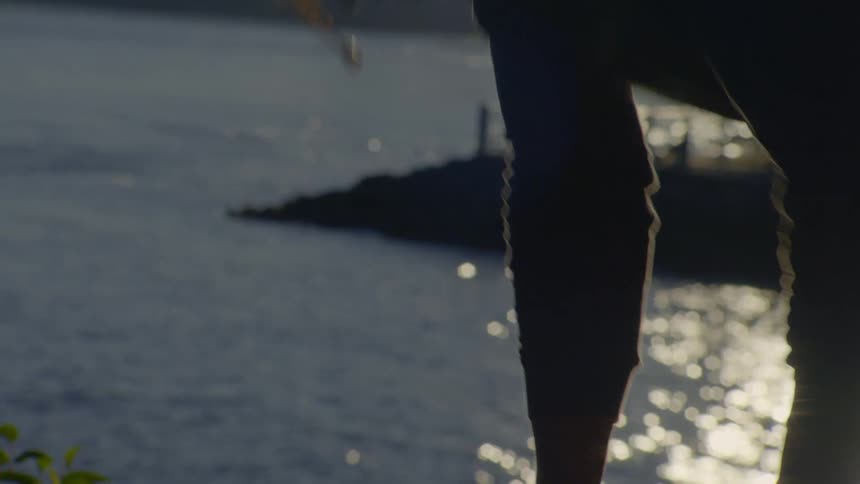 A silhouetted man performs push-ups outdoors at sunset with a shimmering body of water in the background