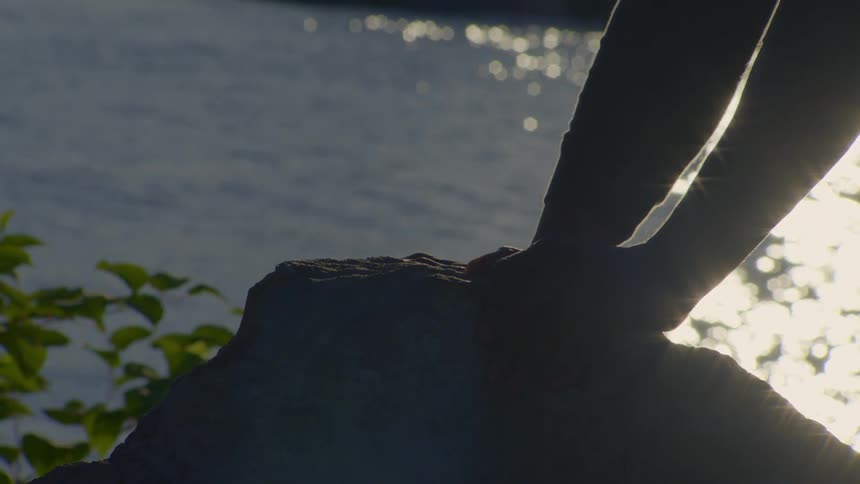 A person's silhouetted hands rest gently on a rock by the tranquil water as the sun shines brightly