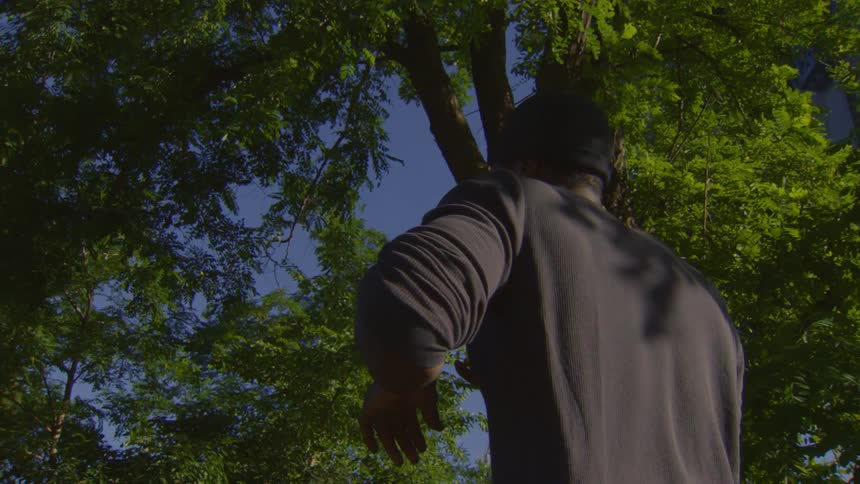 A low-angle slow-motion shot from behind a man in a beanie as he looks up into a vibrant green tree against a clear blue sky