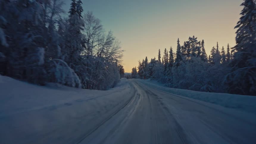 A peaceful drive along a remote, snow-covered road through a dense evergreen forest during a serene winter sunset