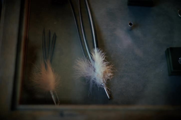 A close-up of a delicate feathered pin behind glass as ethereal smoke wafts by