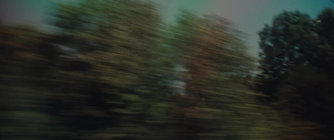 Dreamlike, motion-blurred scenery of trees passing by a moving vehicle from day to dusk
