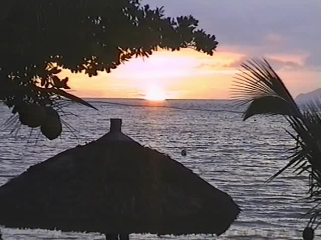 A peaceful vintage VHS shot captures a beautiful tropical sunset over the ocean, framed by silhouetted palm trees and a beach umbrella