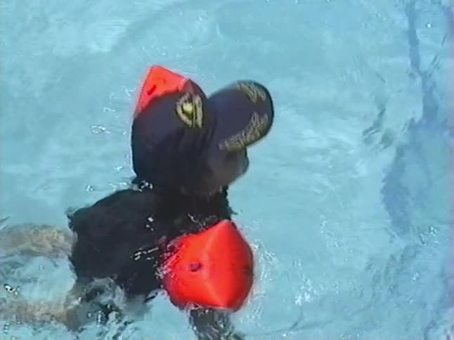 High angle shot of a young child wearing orange inflatable armbands while learning to swim in a pool