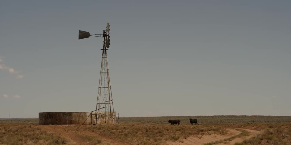 A windmill spins while cows graze below