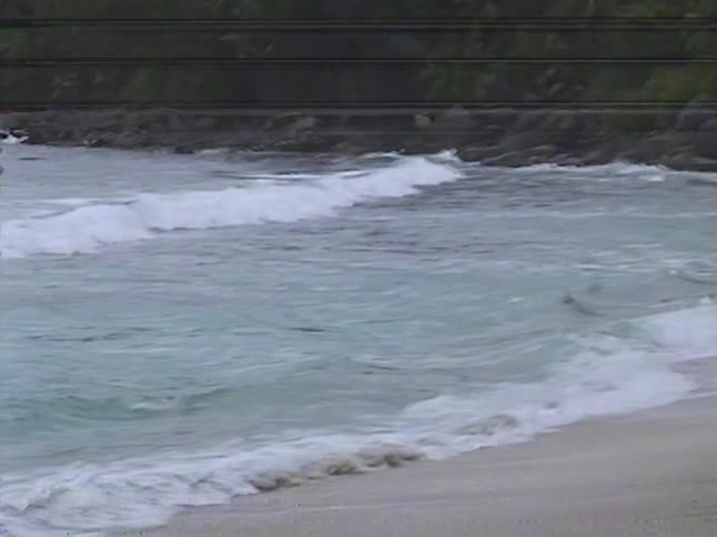 Vintage footage of a coconut washing ashore on a secluded tropical beach with white sand and gentle waves