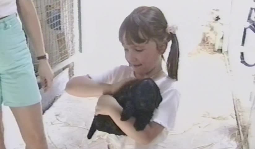 A happy young girl with pigtails cuddles a small black puppy in a sweet vintage home video