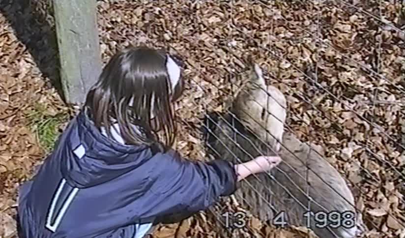 Vintage 1998 home video footage shows a young girl gently petting a deer through a wire fence at a park