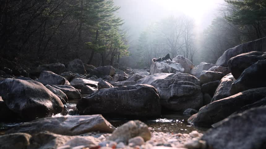Sunbeams pierce through the morning mist over a tranquil, rocky creek deep in a forest