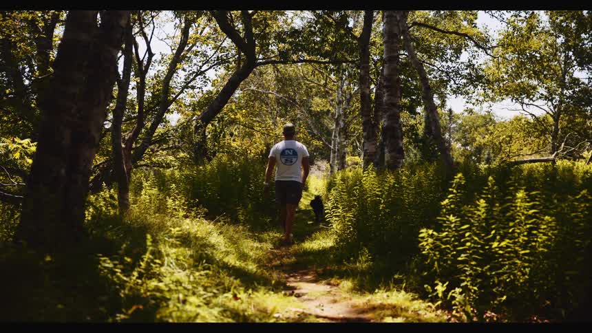 A man and his dog walk away from the camera down a sun-dappled forest path surrounded by lush green foliage