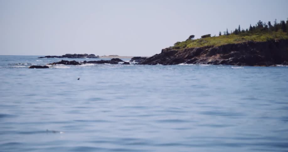 A serene view of calm blue ocean waters gently lapping against a rocky, tree-covered island coast