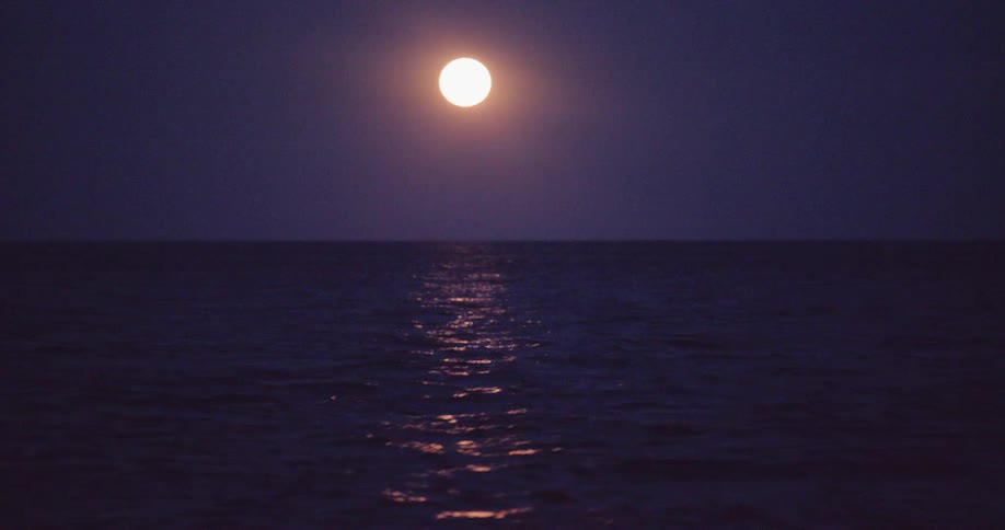 A bright full moon hangs in the dark night sky, casting a shimmering reflection on the gentle waves of the open ocean