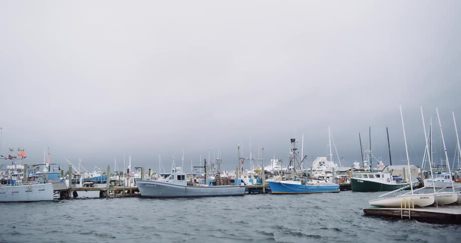 Fishing boats and sailboats bob in the choppy water of a marina on a foggy and overcast day