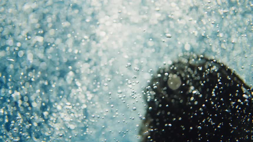 A man with dreadlocks jumps into a pool as the camera follows him underwater in a slow-motion shot of bubbles and floating sunglasses