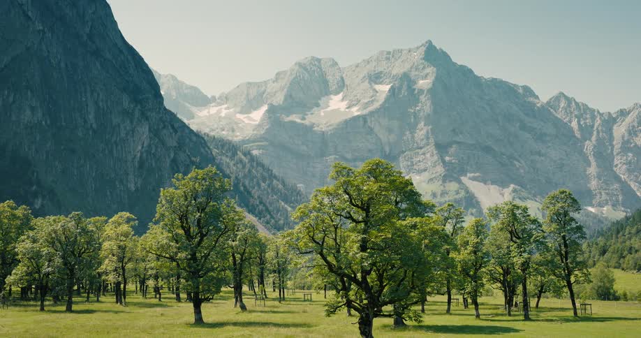 A slow zoom-out reveals a majestic, snow-capped mountain range towering over a lush green meadow filled with trees on a sunny day