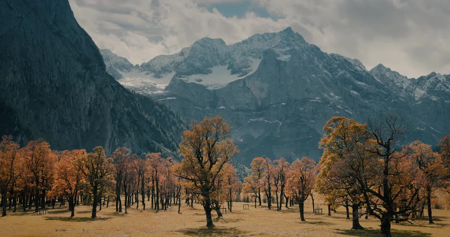 An epic landscape of an autumn valley with golden-leafed trees framed by towering, snowy mountain peaks under a cloudy sky