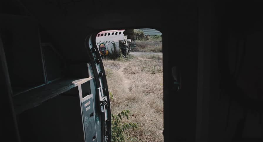 Looking out from the dark interior of a derelict airplane onto another abandoned fuselage in an overgrown field