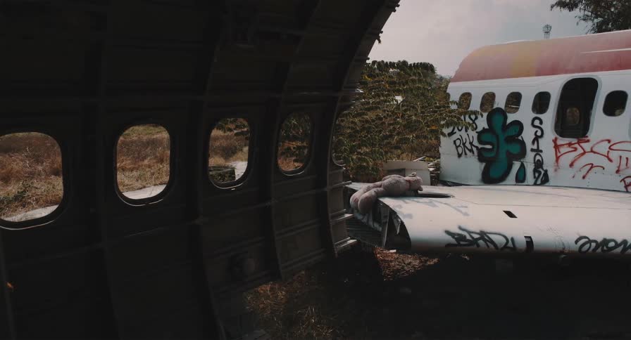 A teddy bear lies forgotten on the graffiti-covered wing of an abandoned airplane, seen from inside the hollowed-out fuselage