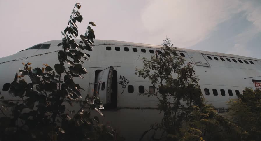 Wind blows through the foliage surrounding a derelict, graffitied passenger plane left to rot in an airplane graveyard