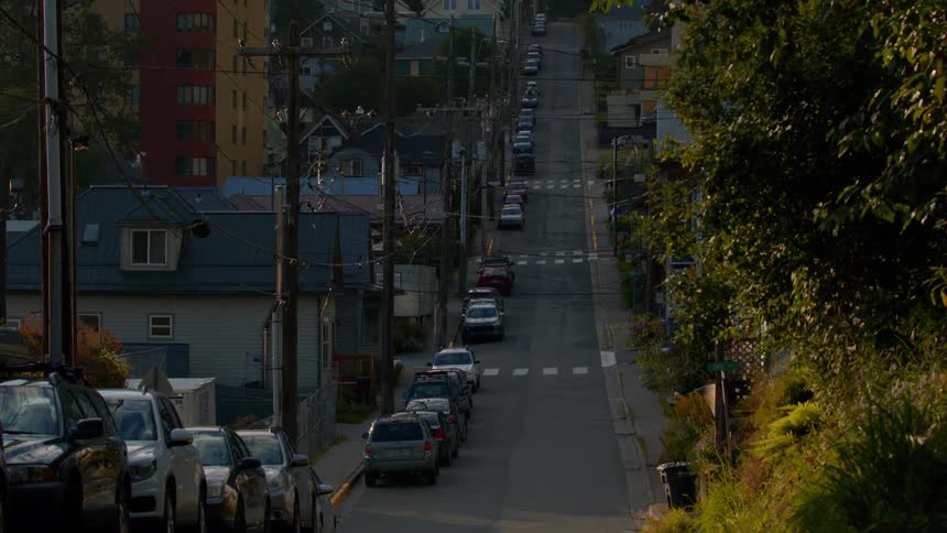 Sunlight illuminates the trees along a steep, quiet residential street lined with parked cars