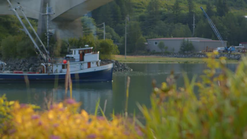 A slow rack focus from colorful foreground flowers reveals a fishing boat passing under a bridge on a calm river