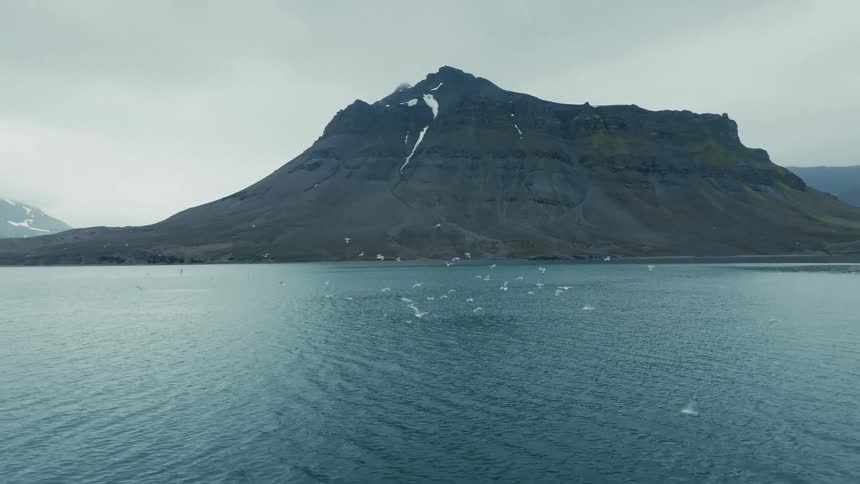A flock of seabirds soars in slow motion over the calm arctic sea with a majestic, moody mountain in the distance