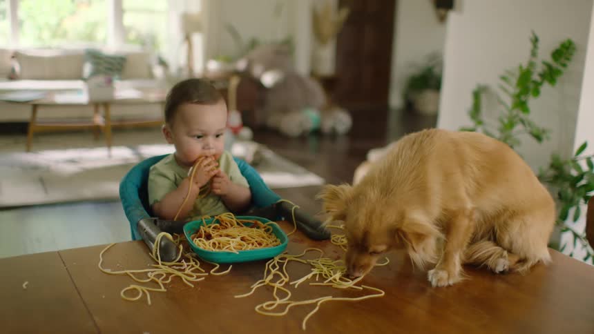 A messy baby in a high chair eats spaghetti while a small dog on the table helps clean up the mess