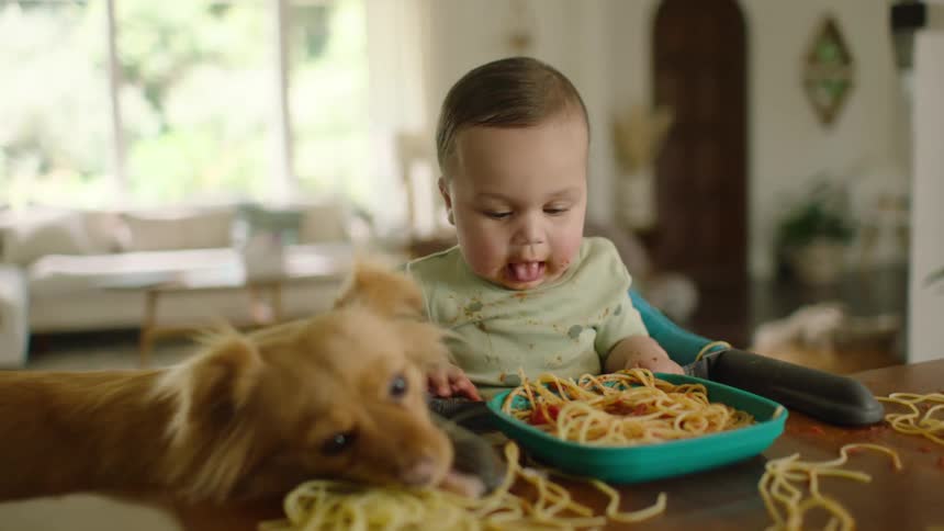 A cute baby boy makes a mess eating spaghetti while his pet dog waits patiently to help clean up the noodles off the table