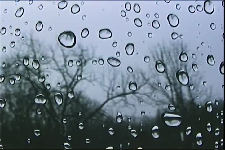 Raindrops on a window pane with bare trees silhouetted against an overcast sky