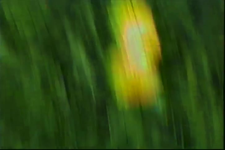 A disorienting and blurry fast-motion point-of-view shot spins rapidly through a field of green grass and yellow wildflowers