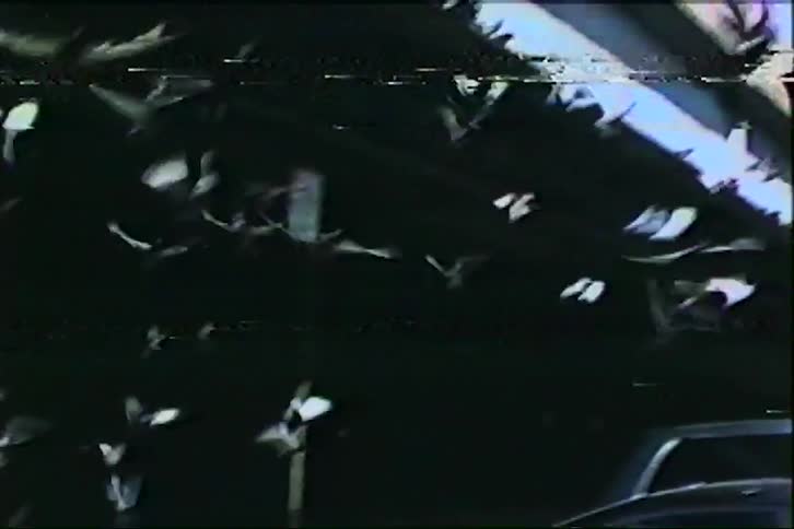 Gritty vintage footage captures a large flock of pigeons flying chaotically under a city overpass