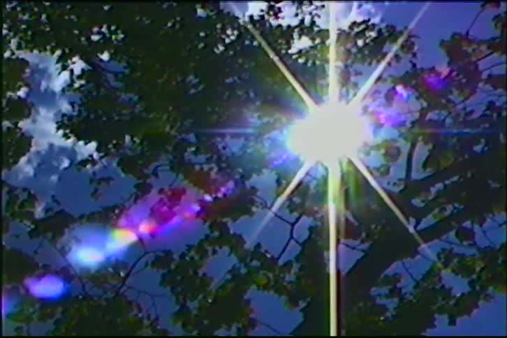 Vintage footage captures the bright sun creating a starburst effect as it shines through the leaves of a tall tree