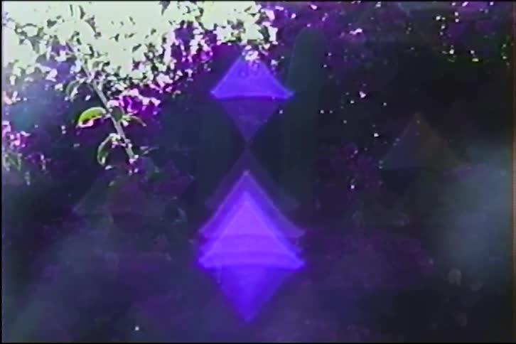 Vintage VHS footage shows a psychedelic purple geometric hourglass shape glowing amidst dark, blurry flowers