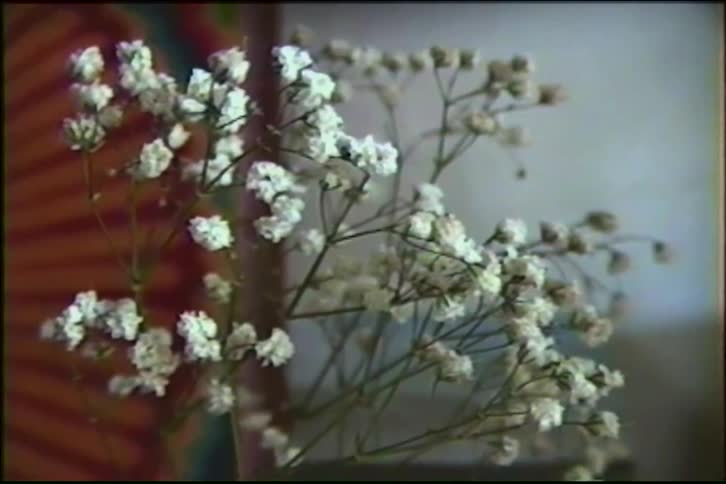 Dreamy vintage VHS footage captures a still life close-up of delicate white Baby's Breath flowers