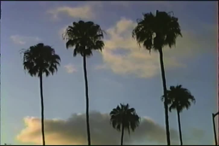 Vintage footage captures the silhouette of tall palm trees against a beautiful sunset sky with soft clouds