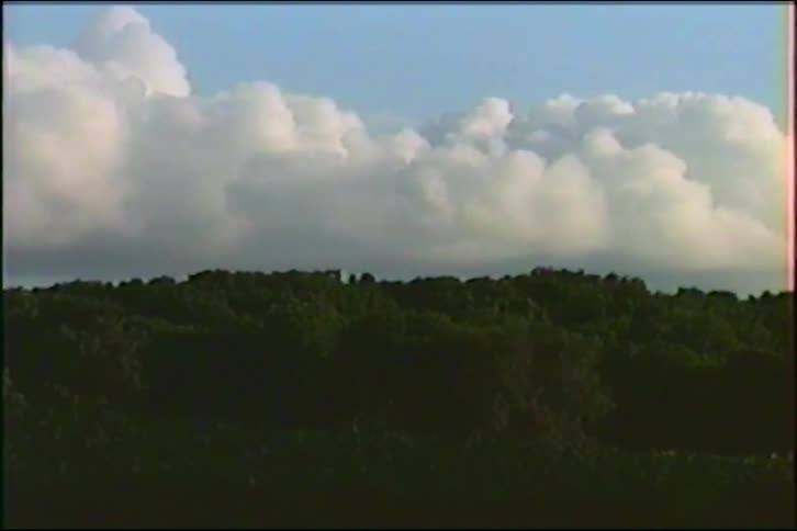 A serene view of white, puffy clouds floating in a blue sky above a dark, silhouetted treeline