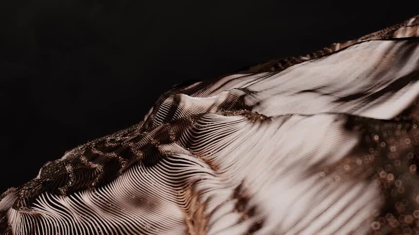 An elegant abstract animation of a bronze and white digital terrain slowly undulating against a black background