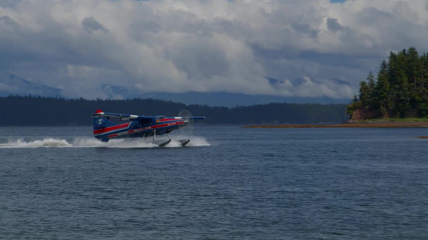 A colorful seaplane glides across the water for a smooth landing in a scenic bay surrounded by forested mountains