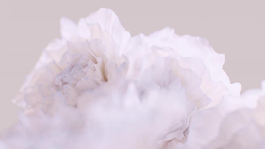An ethereal and dreamy close-up of delicate white flower petals against a soft pastel background