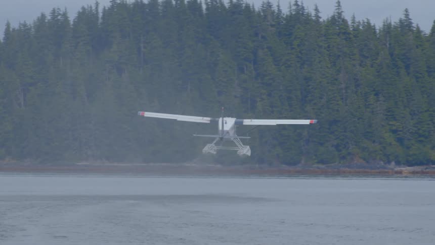 A seaplane takes off in slow motion from a misty lake, leaving a trail of spray before flying towards a dense evergreen forest
